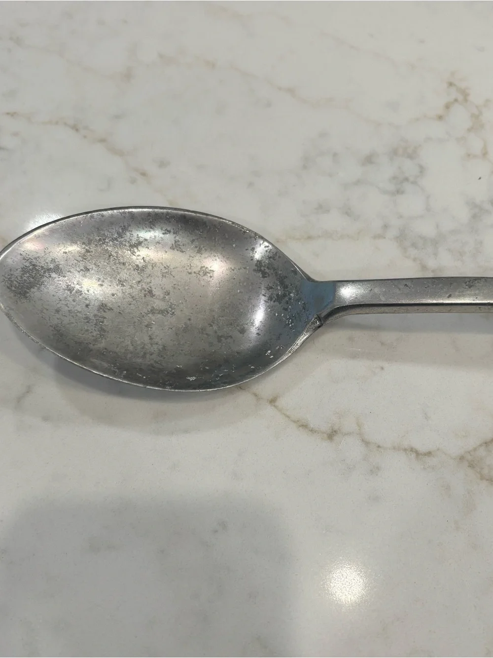 Decorative Cast Aluminum Vintage Fish-Handle Spoon
